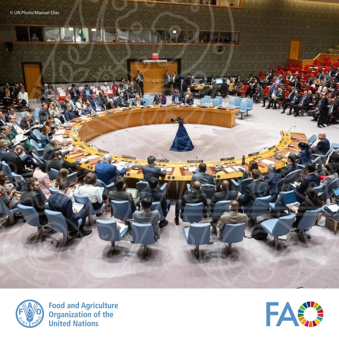 FAOLivestock's tweet image. Addressing #AntimicrobialResistance requires a joint effort across sectors.
Follow the press conference of the Quadripartite for #UNGA High-Level Meeting on #AMR to learn about the significance of this moment for the global AMR agenda.
⏰15:00 (CEST)
📺 bit.ly/4ewqJhs