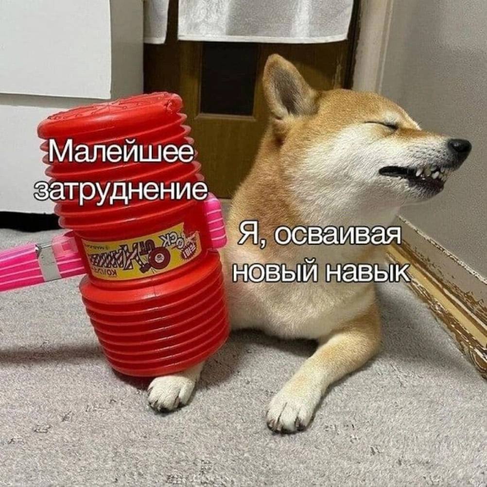 Дантес (@dantesdmitriy) on Twitter photo 