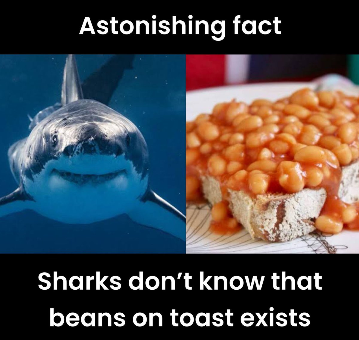 No Context Brits tweet media