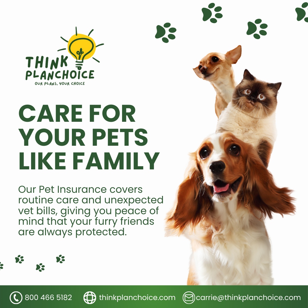 ThinkPlanChoice's tweet image. 🐾 Protect Your Pets Like Family 🐾

Your furry friends are family too. With PlanChoice Pet Insurance, you can rest easy knowing that routine care and unexpected vet bills are covered—because they deserve the best.

#PetInsurance #FurFamily #PlanChoice
... planchoice.com