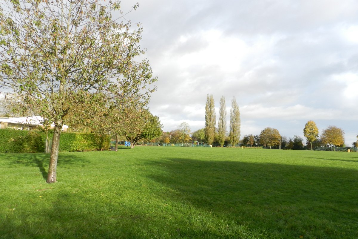 TroopersHill's tweet photo. A @BristolCouncil consultation has started on planting  more trees in Troopers Hill Field @bristolparks.  Find out more and how to give your feedback on https://t.co/zas5DW8sLg https://t.co/SWOfS3omxb