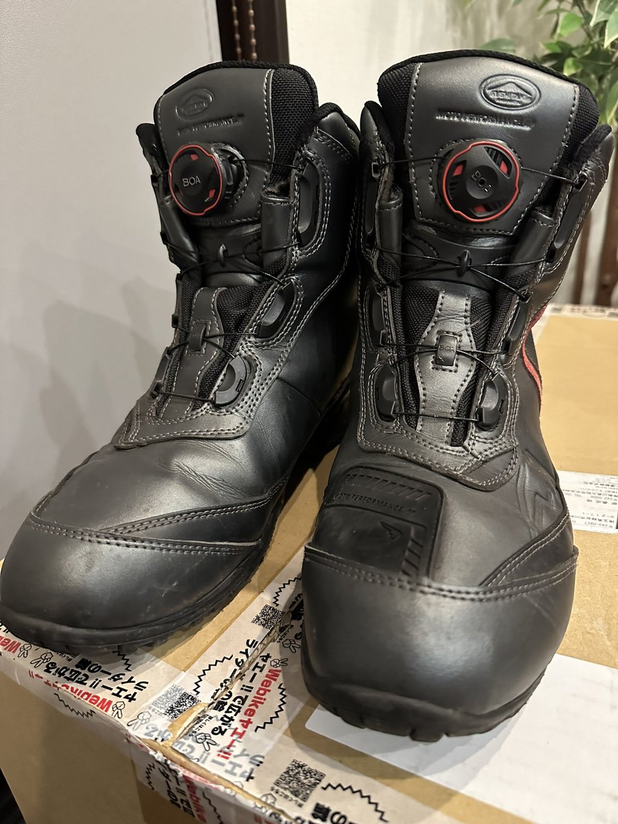 YNG48やなきち tweet media