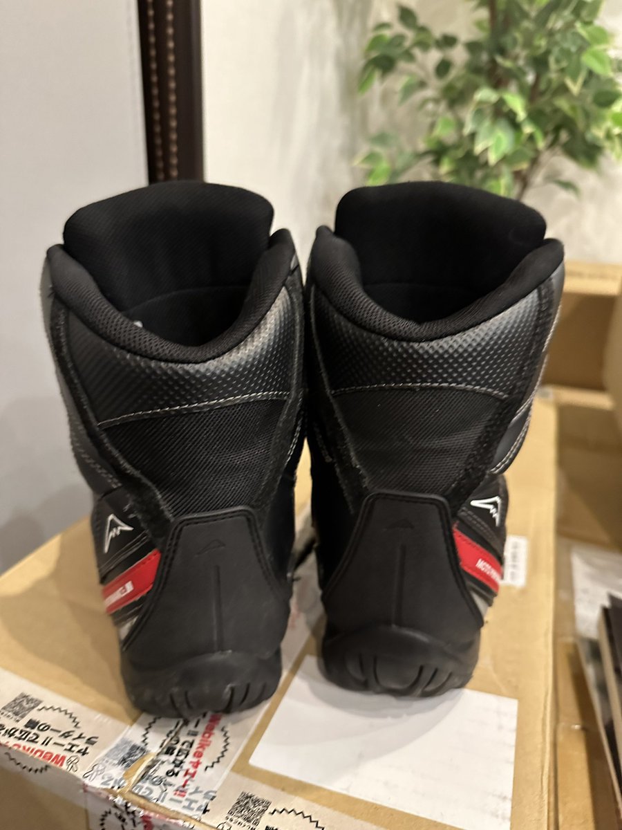 YNG48やなきち tweet media