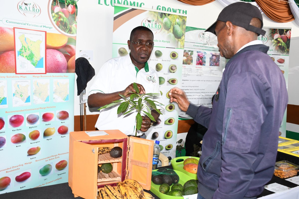 kalromkulima's tweet photo. With only three days to go, KALRO is still taking pride in showcasing its climate smart technologies in crops, livestock and natural resource management at the Nairobi International Trade Fair (NITF), Jamhuri Grounds. https://t.co/FV6WSoKc4s