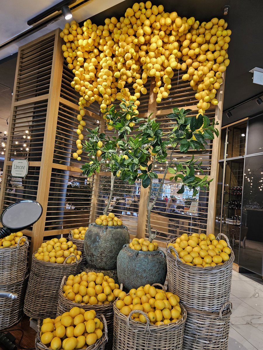 𝓝𝓪𝓼𝓲𝓻 tweet media