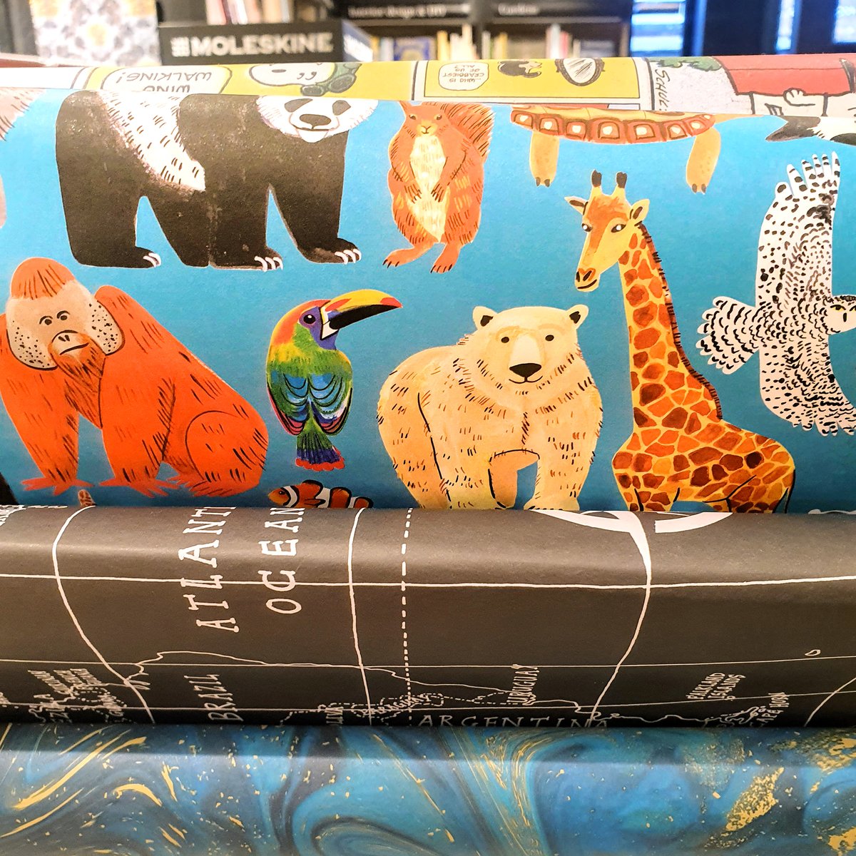 emma_j_designs's tweet image. Spotted in my local Waterstones shop! I tend to go into Waterstones for children&apos;s book inspiration and gifts ideas. It&apos;s a fab feeling when you see your own designs on display! 
#carddesigns #giftwrap #illustrators #kidlitartist #earlybirddesigns #greetingcards
