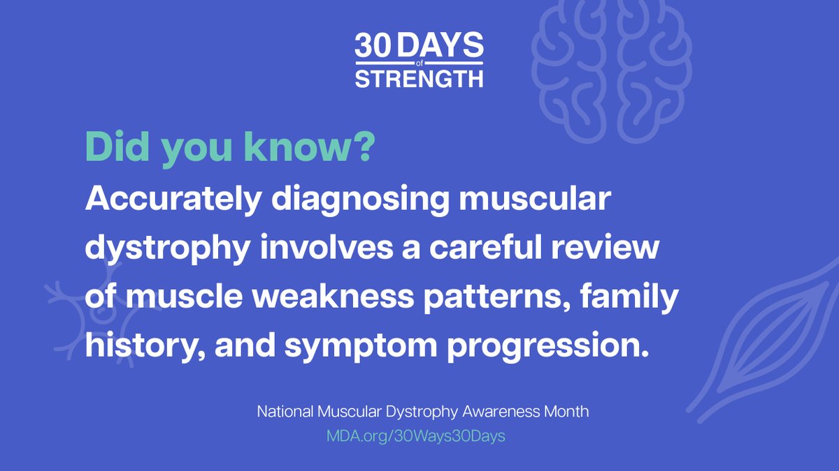 MDAorg's tweet photo. Diagnosing #MuscularDystrophy involves a review of muscle weakness patterns, family history, & symptoms. Healthcare professionals at #MDA’s network of Care Centers specialize in diagnosing & treating muscular dystrophy. Learn more: https://t.co/jjupGao3qQ #30DaysOfStrength https://t.co/NOjh1vXo9E