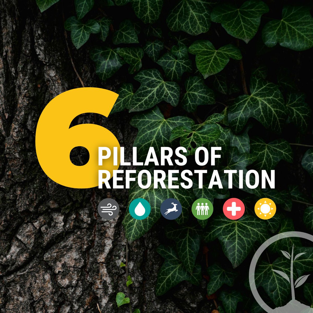 onetreeplanted's tweet photo. Forests provide jobs to over 1.6 billion people, absorb harmful carbon from the atmosphere, and are key ingredients in 25% of all medicines. Have you ever taken an Aspirin? It comes from the bark of a tree!

Here are the six pillars that explain why trees are vital 👇 https://t.co/3kPoLRyqf6