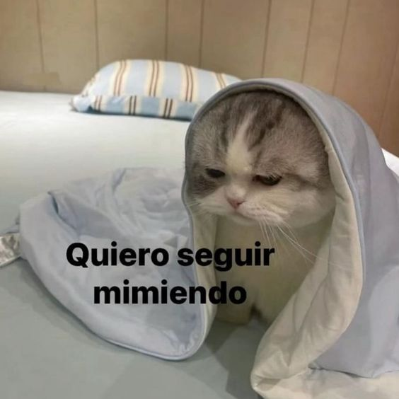 Y si no voy?
