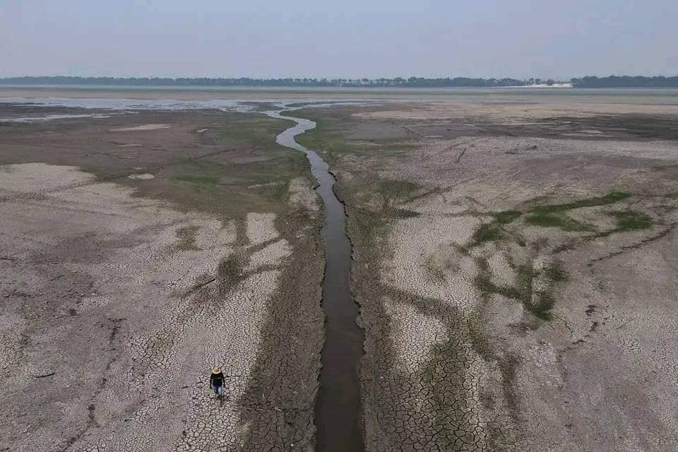 TremendoVilla's tweet photo. #Seco #RioAmazonas Rio Amazonas registra niveles históricos de sequía.
El segundo río con más longitud y más caudaloso a nivel mundial se está secando. https://t.co/Yy28qRuSIZ