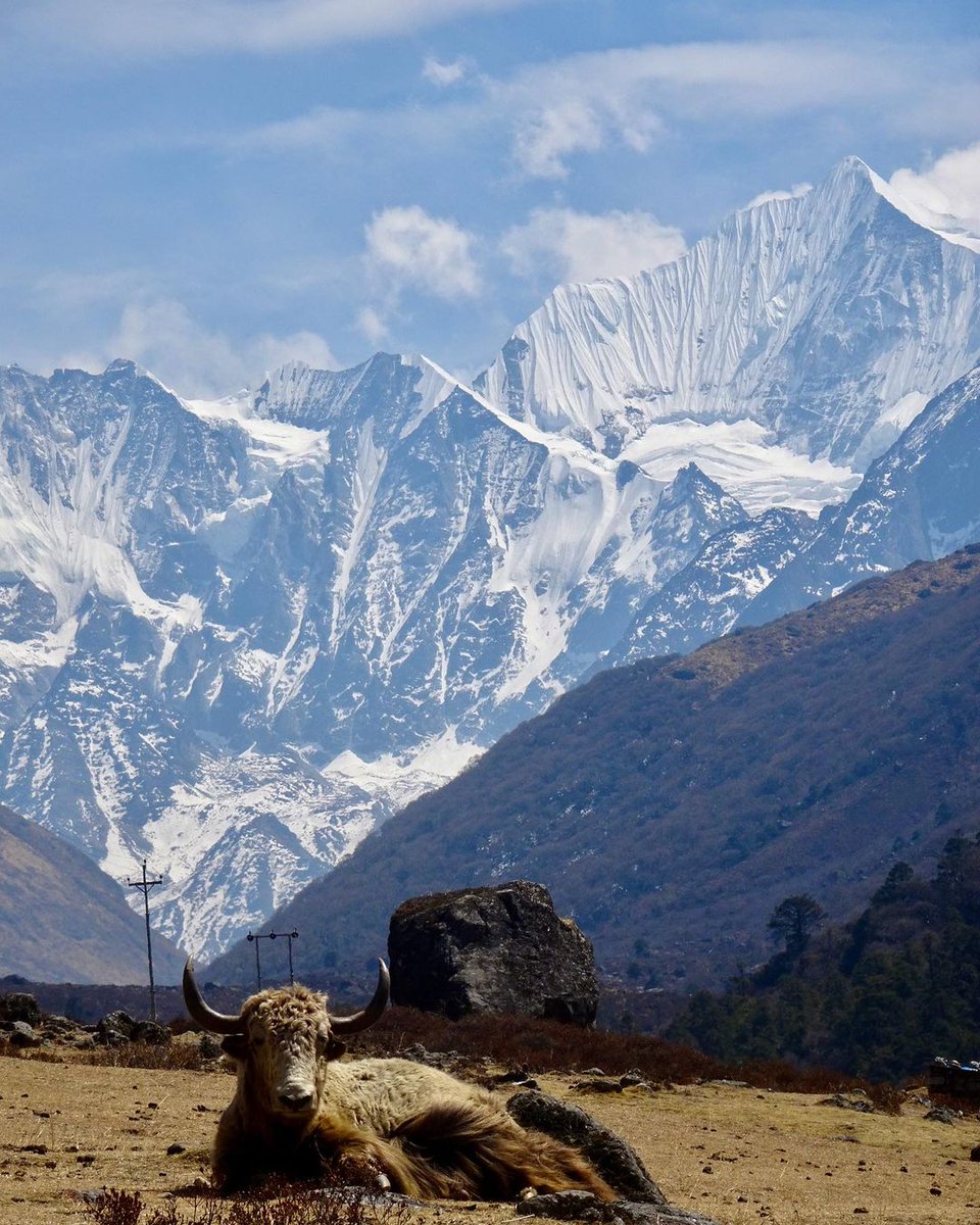 volunteerworld_'s tweet photo. Langtang Valley Trek in the vicinity of the Langtang region of Nepal is one of the most exciting trek destinations, offering travellers majestic views of the Mount Annapurna, Kangchenpo, Lanng Shisha Ri, Langtang, and Ganesh mountain ranges. 

https://t.co/9umIMMgzGh https://t.co/mmRZaq60EN