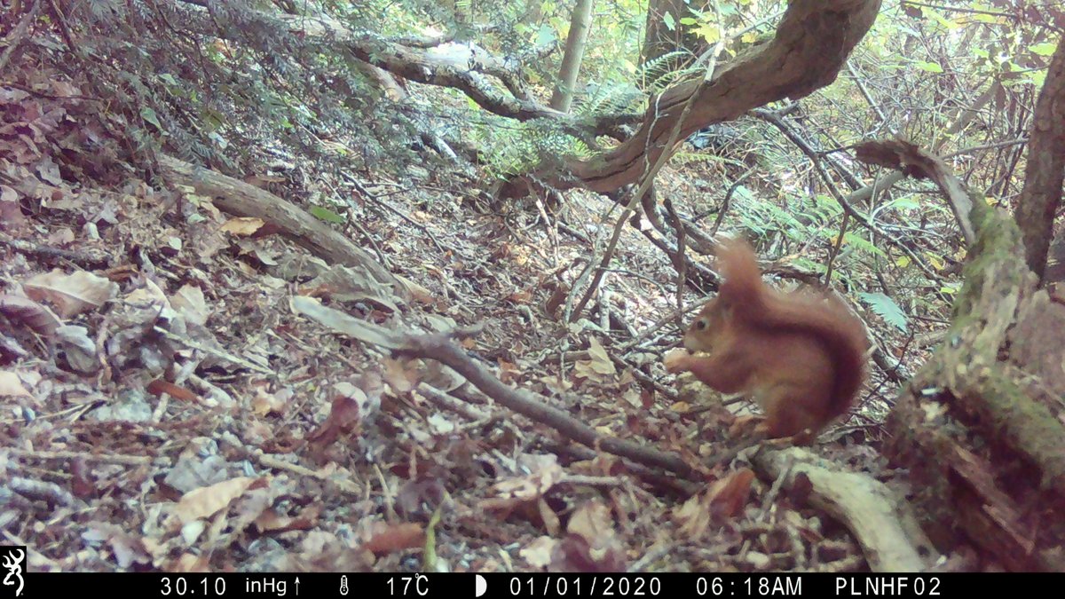 Dr Craig Shuttleworth tweet media