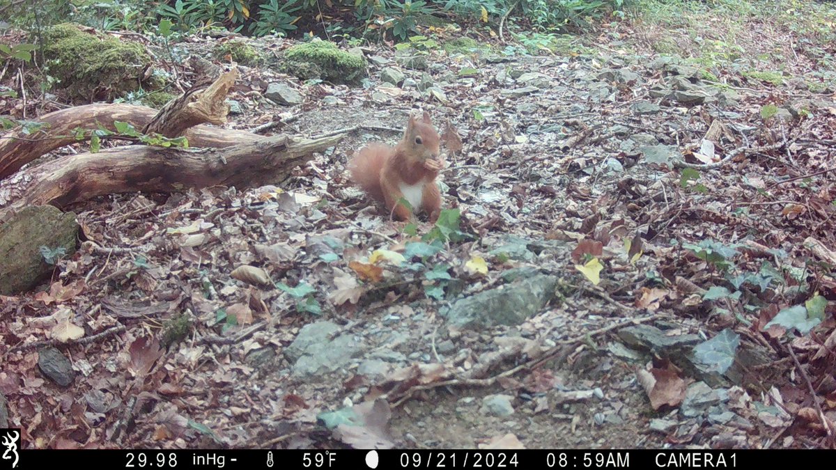 Dr Craig Shuttleworth tweet media