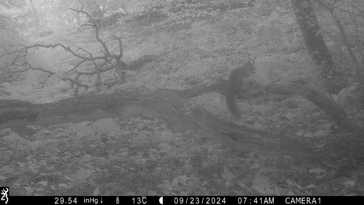 Dr Craig Shuttleworth tweet media