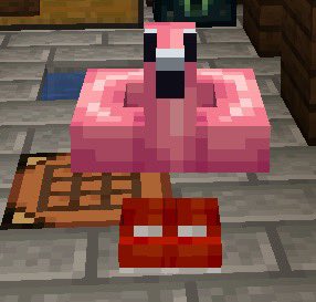Cvs_Coughdrop's tweet image. I do not see a difference here #fabledsmp