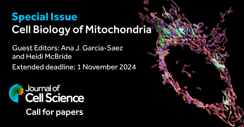 J_Cell_Sci's tweet photo. **Deadline extended to 1 November 2024**

Submit your paper for our next special issue: Cell Biology of Mitochondria. 
Guest edited by Ana J. Garcia-Saez 
@GarciaSaez_Lab &amp; Heidi McBride 
@mitodynamics

https://t.co/PPak5Pjkhk