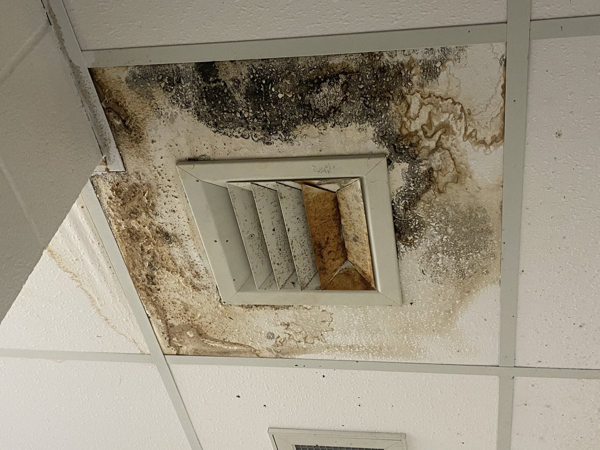 Tropolitan's tweet photo. Troy University’s Malone is full of fire hazards, leaks, and safety concerns. 

Read the full story by @EmilyMosierNews, and see the full photo gallery, at https://t.co/GIvpZtBrb0. OR pick up a copy of The Tropolitan on campus ⚔️ https://t.co/dVZuTmJWV6