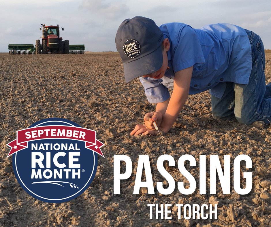 USA Rice (@think_rice) on Twitter photo American #rice farmers partner w/orgs like <a href="/DucksUnlimited/">Ducks Unlimited</a> & companies like <a href="/AnheuserBusch/">Anheuser-Busch</a> & <a href="/Purina/">Purina</a> to help fund on-farm conservation practices focused on the future. Resources, knowledge, & support make #sustainability a priority for a new generation. 💚 American #rice farmers partner w/orgs like <a href="/DucksUnlimited/">Ducks Unlimited</a> & companies like <a href="/AnheuserBusch/">Anheuser-Busch</a> & <a href="/Purina/">Purina</a> to help fund on-farm conservation practices focused on the future. Resources, knowledge, & support make #sustainability a priority for a new generation. 💚