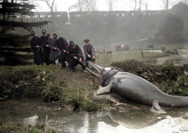 Old England in Colour tweet media