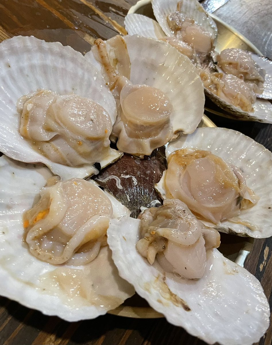 ・放送予定📺・
9月28日(土曜)午前11:00
NHK仙台放送・定禅寺しゃべり亭
(NHK＋でもご覧いただけます)

番組内では、千住明先生の「風林火山」のメインテーマを室内楽編成で先生のピアノ演奏と共に演奏させていただきました✨

身も心もほくほくでした☺️
是非ご覧ください♪