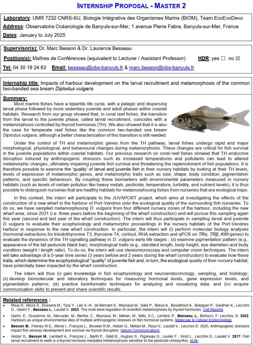 Marc BESSON tweet media