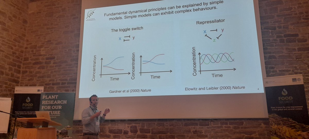 jaberhassna's tweet photo. Good morning from day five 🌞🔬
• Pau Formosa-Jordan: Using computational morphodynamics to understand plant development 🌱💻
• Amanda Souza Camara: Exploring structural diversity in barley 🌾🧬
#CEPLAS #IPK
#FoodSecurity #ceplas_ipk_summerschool, #TRANSPLANTBIO🎉 https://t.co/F9RgiX9bRV