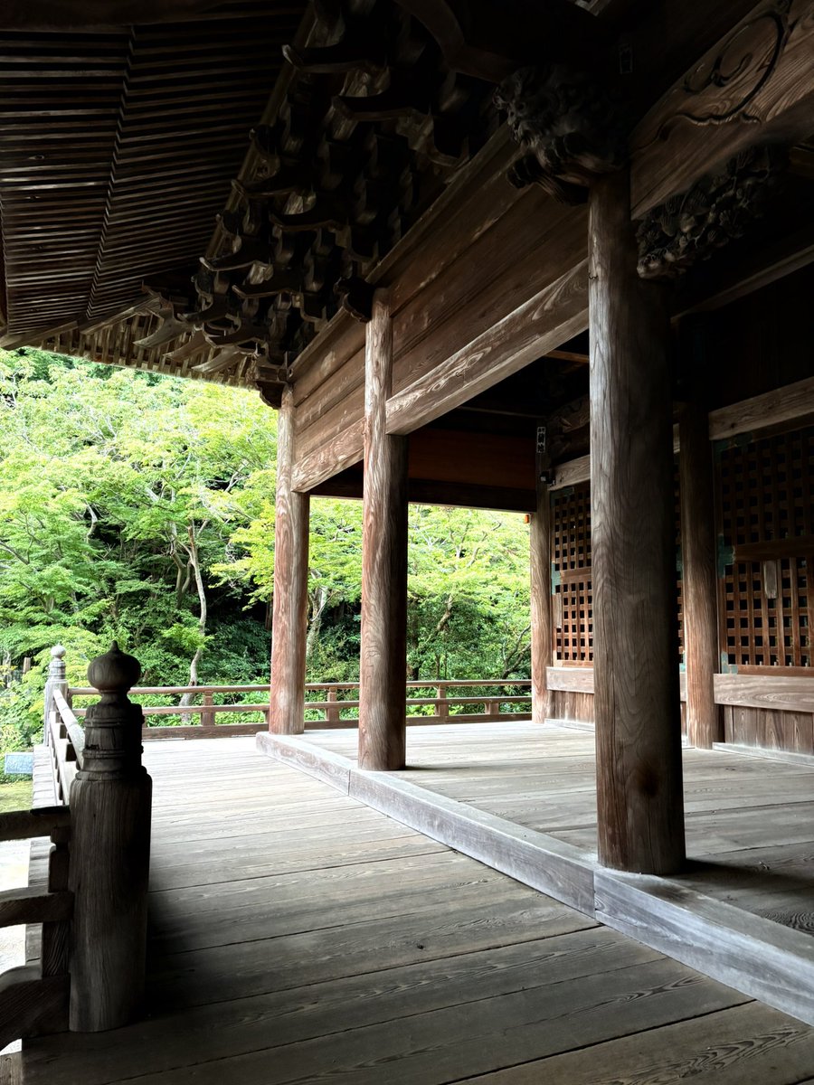 吉成 晃 / Akira YOSHINARI tweet media