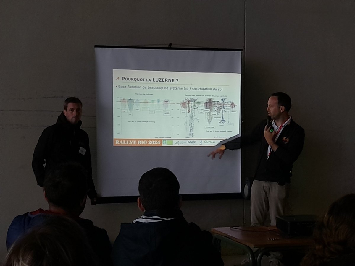 CBioPDL's tweet image. Rallye bio 2024 : c'est parti ! 
Les conférences démarrent avec des retours d'essais sur la place de la #luzerne dans les rotations en GC bio : gestion des adventices, fertilité des sols, itinéraires techniques, implantation sous couverts, valorisation... on vous dit tout !