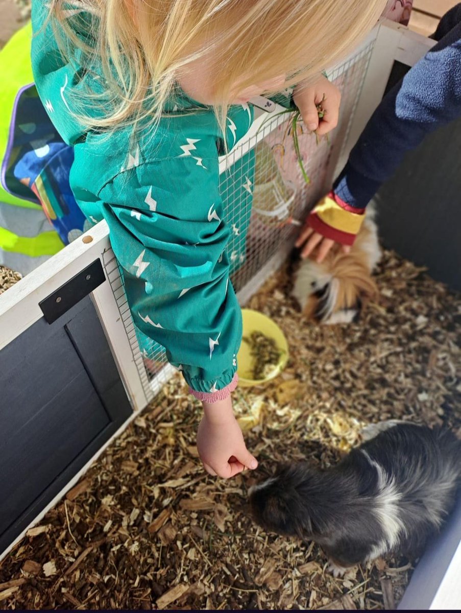 lullabynursery's tweet image. 🏡 Chocolate and Sprinkles are enjoying their new home! 

Our children have been enjoying taking time out their play to care for our pets!

We have loved observing our children be gentle and caring 💚

#AttachmentLedPractice