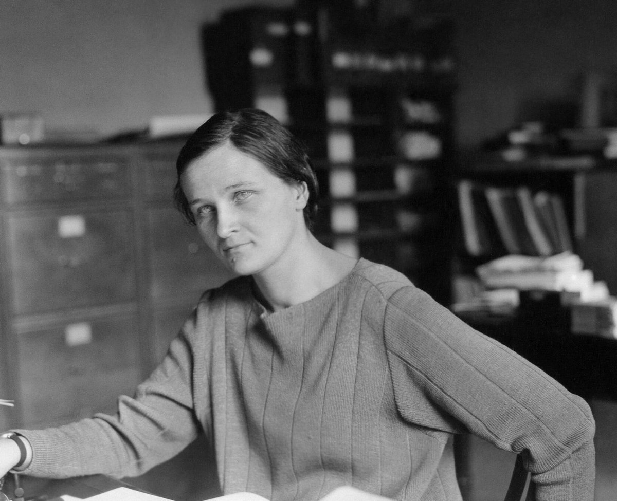 Joseph Conlon tweet media