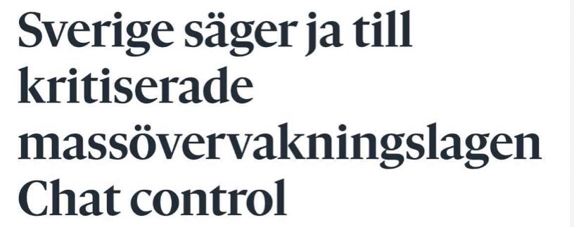 Råttor