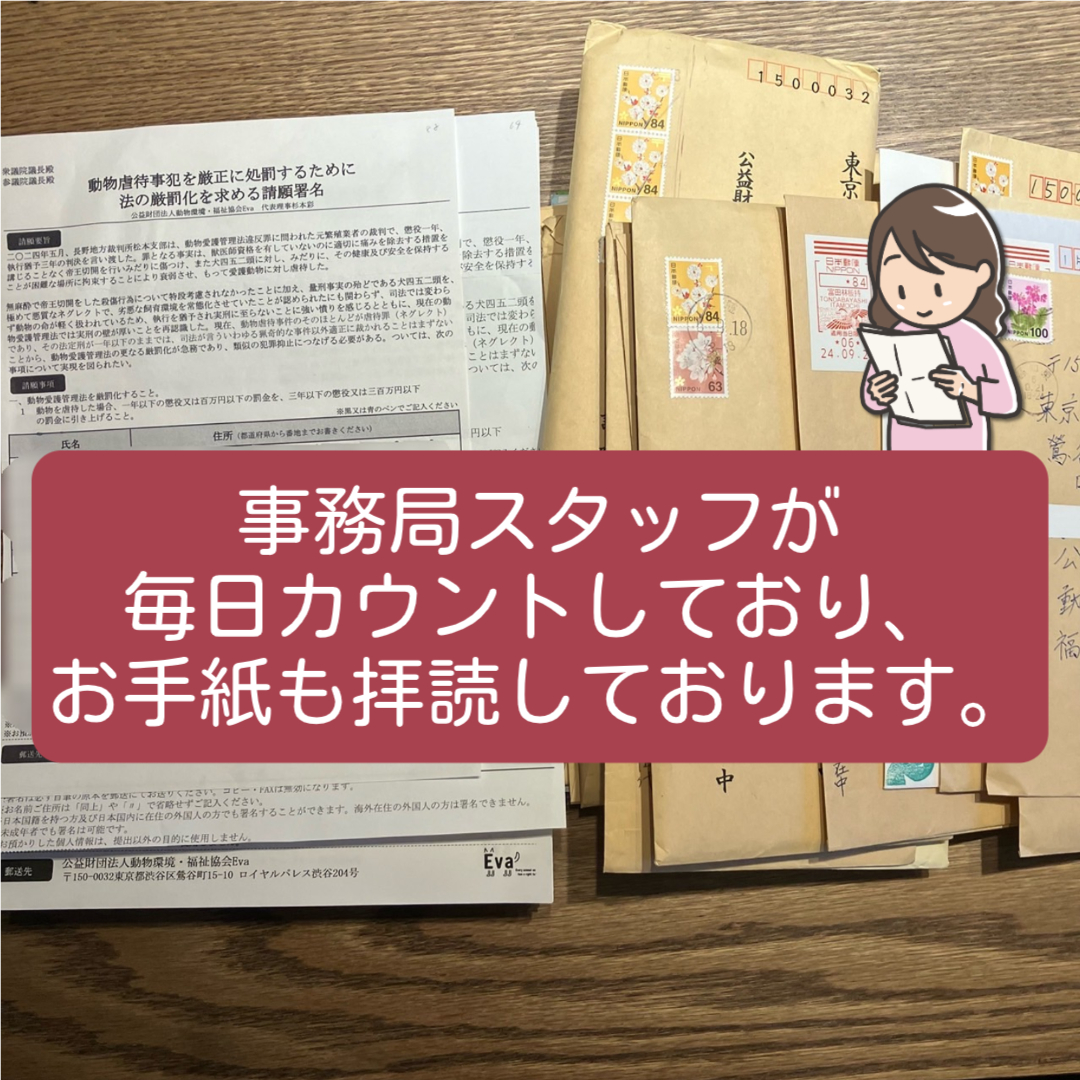 everyanimal_eva's tweet photo. 【請願署名についてのご報告】
当協会Evaが行っております、「動物虐待罪の厳罰化を求める請願署名」の活動につきまして、先日10000筆を突破いたしました。これもひとえに皆様のお力添えのお陰でございます。ご協力いただき誠にありがとうございます！

毎日たくさんの署名が当協会に届いており、なかには賛同していただいている皆様からのお手紙も同封されています。全て拝読し保存しております。本当にありがとうございます。
当協会へ署名をお送りいただいた皆様へ、ひとつひとつ感謝のお返事が出来ず大変申し訳ございません。
今後もこのように署名の経過をご報告できればと思っております。

請願署名の締切は、2025年初めを予定いたしております。
まだまだたくさんの想いを集めたいと思っておりますので、皆様のご協力をどうぞよろしくお願いいたします。
▼署名についての詳細はこちら▼
https://t.co/w1V6mebY5N