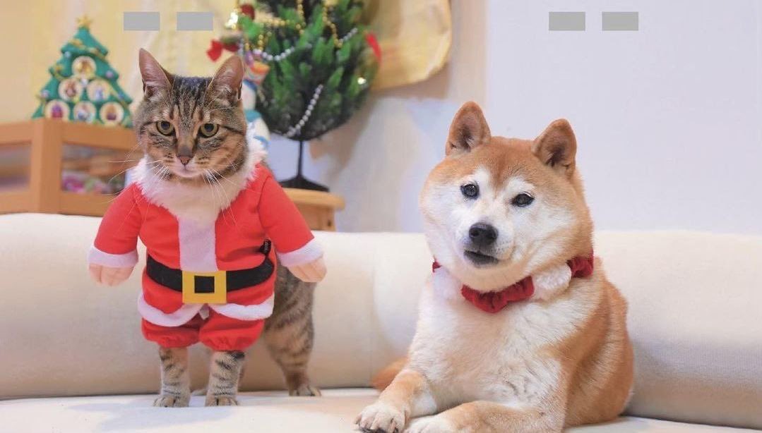 mvxagenda's tweet photo. @ginnanctoeth @KookCapitalLLC On the way! https://t.co/5JzlW0PsFq
