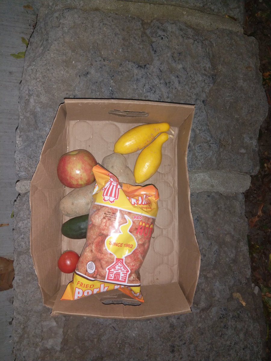 C_DevonPierce's tweet photo. @adrianachechik I found this bag of spicy pork rinds randomly, I did something amazing with them.

Instead of eating them, I crushed them into a fine powder, coated chicken in them, then fried them.

You can't always eat chicken breaded in pork rinds, but, when you do, it's a amazing . . . https://t.co/IrGG0un5ch