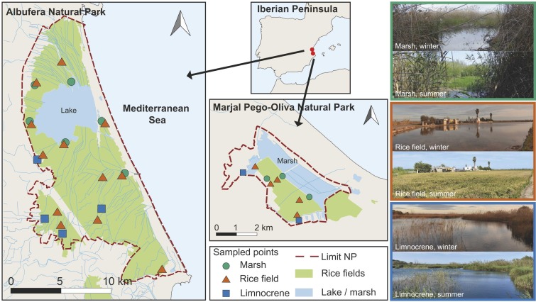 Fortunate to collaborate on this paper, led by Maria Bisquert-Ribes, from an <a href="/ICBiBE_UV/">ICBiBE_UV</a> expert research group on invasive ostracods and other microcrustaceans
doi.org/10.1016/j.agee…