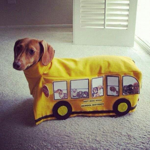 James Rupert Fletcher tweet media