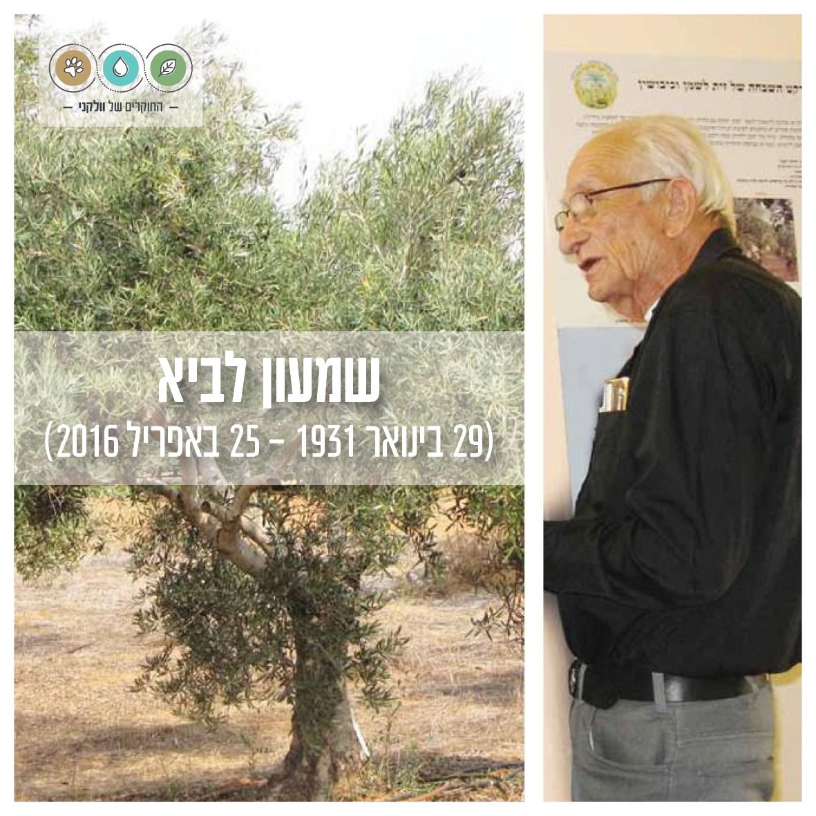 החוקרים של וולקני tweet media