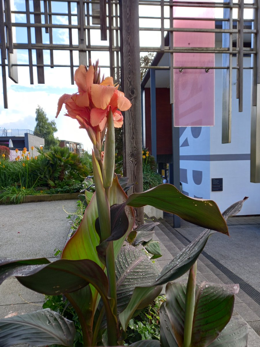 Lena Wahlgren-Smith tweet media