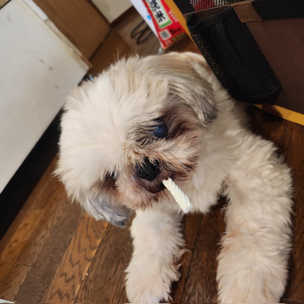 #新しいプロフィール画像