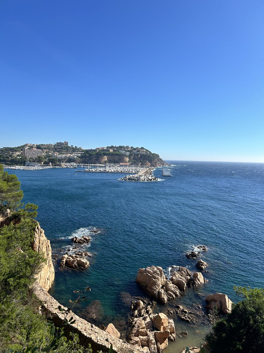 Schrader Lab (@lab_schrader) on Twitter photo Great location and weather for the Open European Peroxisome Meeting 2024!
We hope everyone arrives here safely. Looking forward to seeing you all soon at Eden Roc Hotel.
#OEPM2024 Great location and weather for the Open European Peroxisome Meeting 2024!
We hope everyone arrives here safely. Looking forward to seeing you all soon at Eden Roc Hotel.
#OEPM2024