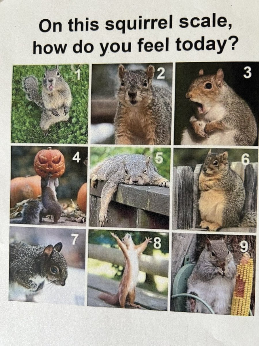 Yesterday, I visited our 0-19 team. Wonderful to hear from passionate staff who are butting new parents &amp; encouraging &amp; supporting breast feeding. I also visited the Infant Mental Health Team. I loved this 🐿️ scale so much that they gave it to me! My spirit animal!