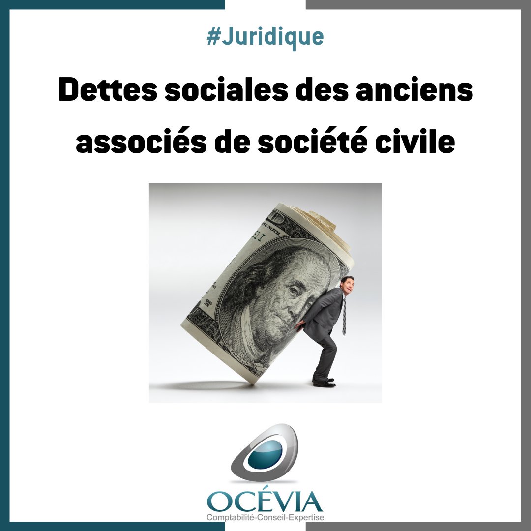 OCEVIA tweet media