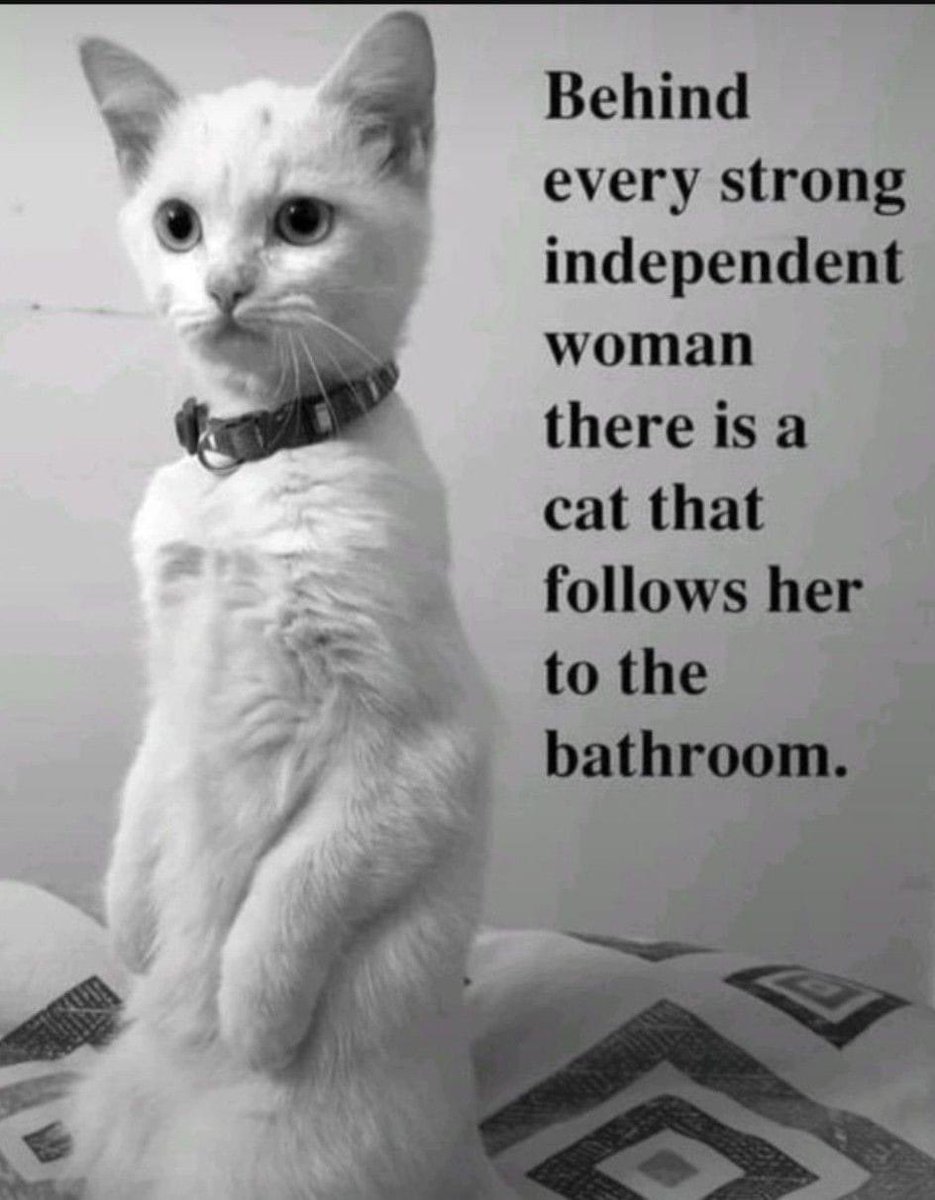Fiona Venner (@fionavenner) on Twitter photo So true. So true.