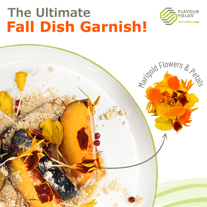FlavourFields's tweet photo. 🍂🌟 Fall's Here, and So Is the Ultimate Dish Upgrade - Marigold Flowers! 🌟🍂

These little powerhouses bring a slightly spicy, bitter kick with hints of mint and tarragon! 💥

Visit: 
https://t.co/XW0PMdYh8Q
https://t.co/gb8lstmbNy https://t.co/jSyW4zKMfL