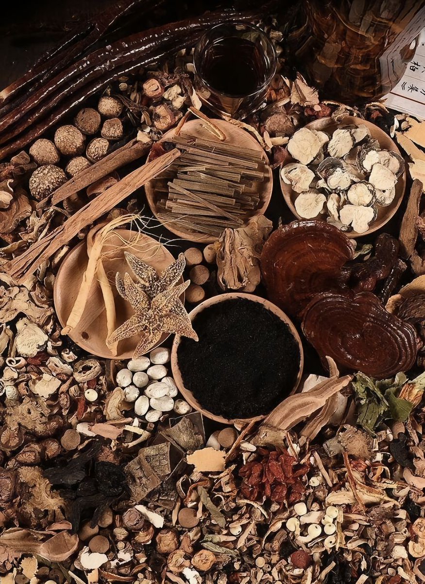 HenanWonderful's tweet photo. Do these look like ordinary plants? Nope! They are the "magical herbs" of Traditional Chinese Medicine, each leaf with its own story! #AmazingTCM #Henan #Medicines #herbs https://t.co/u2GBTW2aQx