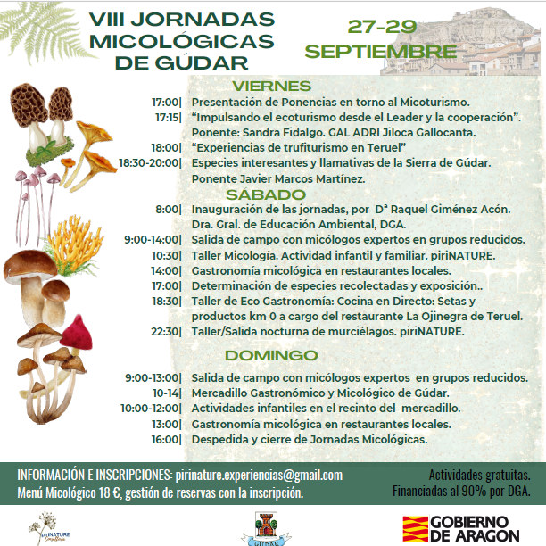 ¡Este fin de semana llegan las VIII Jornadas Micológicas de Gúdar!
Disfruta de ponencias, salidas de campo, cocina en directo, talleres para familias y oferta gastronómica local.
Financiadas al 90% por <a href="/CCyEAAragon/">Cambio Climático Aragón</a>
#SubvenciónCCyEA
<a href="/calleindiscreta/">La Calle Indiscreta</a>
<a href="/GobAragon/">Gobierno de Aragón</a>