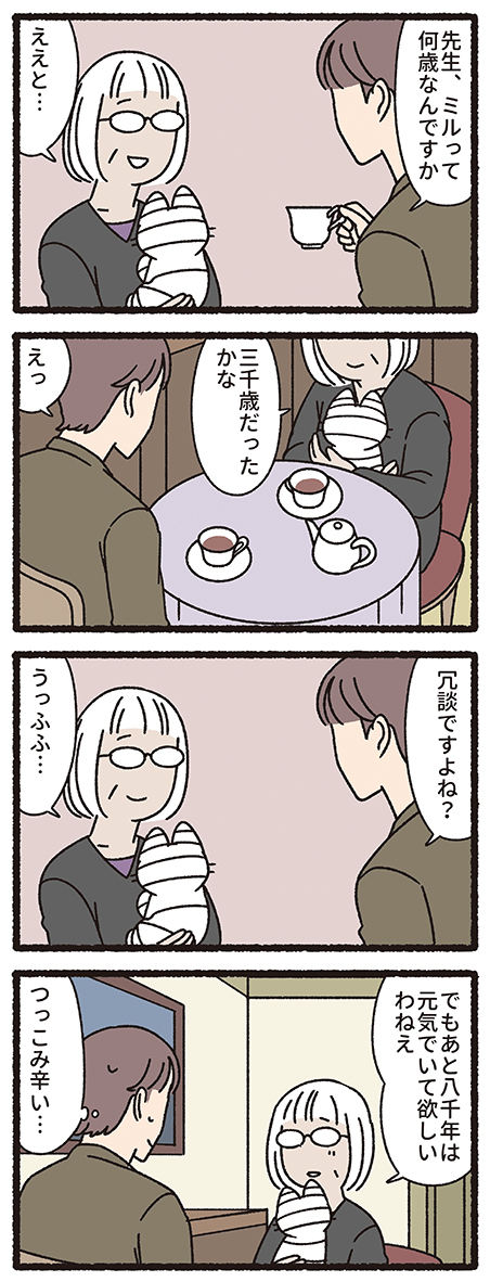ねこもんすたー みいら
#ねこもんすたー #ねこようかい 