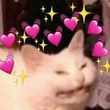 Petit gruau humide 🧙‍♀️ tweet media