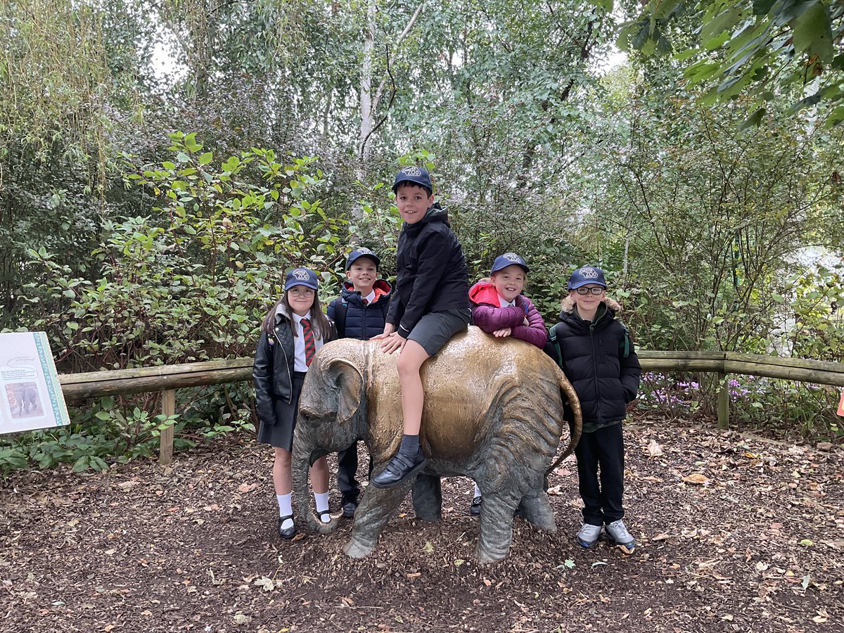 stalbans_wirral's tweet photo. Well done to a group of our Year 6 pupils who took part in the Chester Zoo takeover yesterday 🪸

Our pupils spoke to members of the public about what is happening to our coral reefs and how we can protect them - they were a credit to our school 🌟 

@LearnatCZ @HFCMAT https://t.co/cMXGpqRTYd