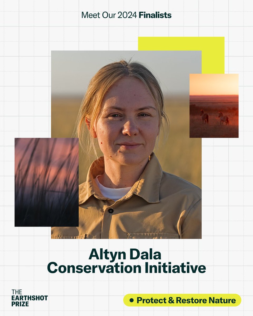 Altyn Dala Conservation Initiative (@altyndala) on Twitter photo This is a moment we will never forget 💚
Many congratulations to our fellow 2024 <a href="/EarthshotPrize/">The Earthshot Prize</a> Finalists.
We can't wait to learn with you and from you over the coming year - for a protected and restored world 🌍 This is a moment we will never forget 💚
Many congratulations to our fellow 2024 <a href="/EarthshotPrize/">The Earthshot Prize</a> Finalists.
We can't wait to learn with you and from you over the coming year - for a protected and restored world 🌍